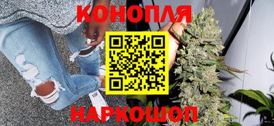 спиды Бийск